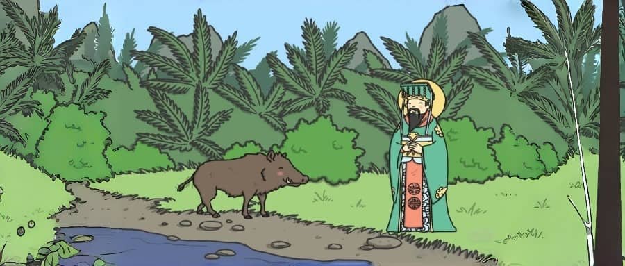 Chinese Zodiac Pig - Twelfth Animal - Generosity and Abundance - Year of the Pig - Water Element Pig - Prosperity Symbol - Kind-hearted Soul