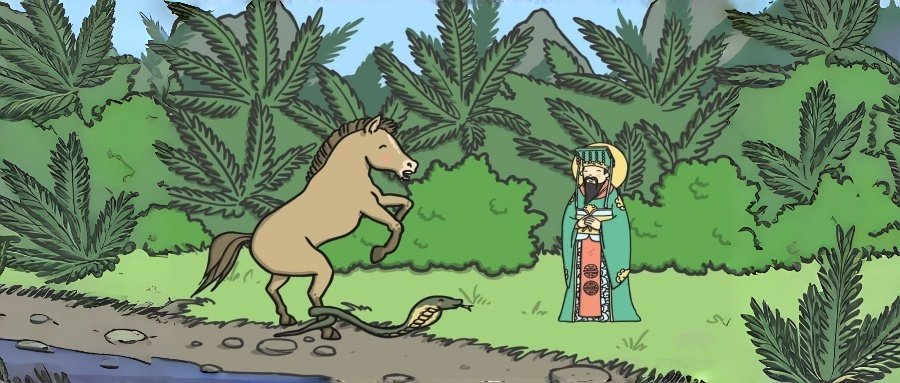 Chinese Zodiac Snake - Sixth Animal - Wisdom and Intuition - Year of the Snake - Fire Element Snake - Mysterious Charm - Deep Thinker