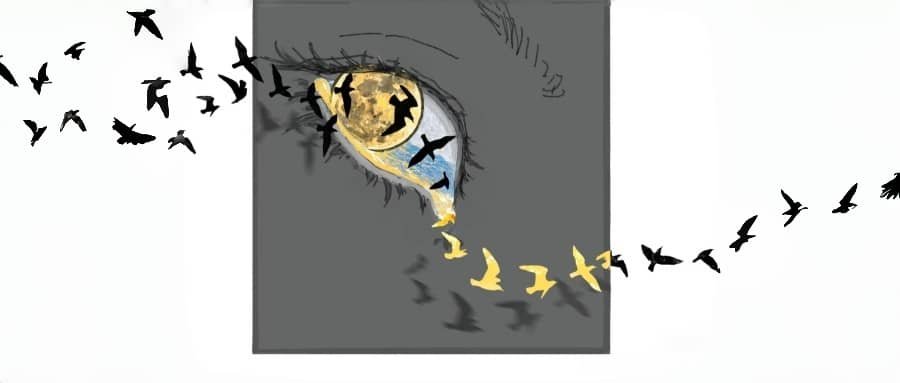 The concept of a Cosmic Co-Creator in astrology, showing free will and soul reconciliation with an imperfect birth chart.